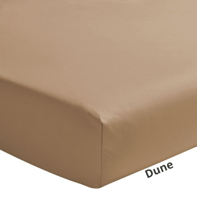 Drap Housse 160X200 cm bonnet de 23 cm Coton Today Dune